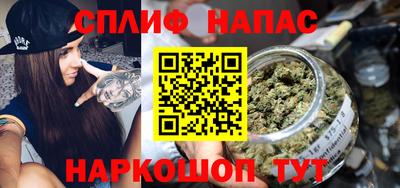 стаф Кингисепп