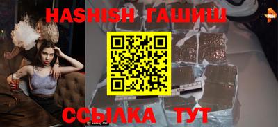 стаф Кингисепп