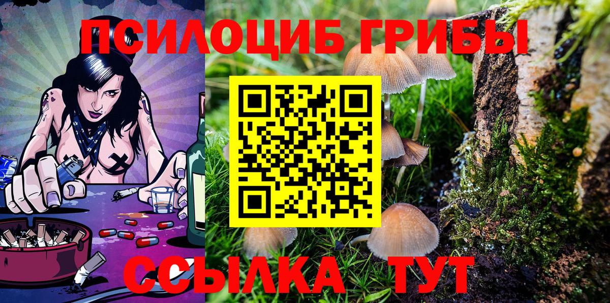Галлюциногенные грибы MAGIC MUSHROOMS  Вход с VPN  Кувандык  Галлюциногенные грибы MAGIC MUSHROOMS 